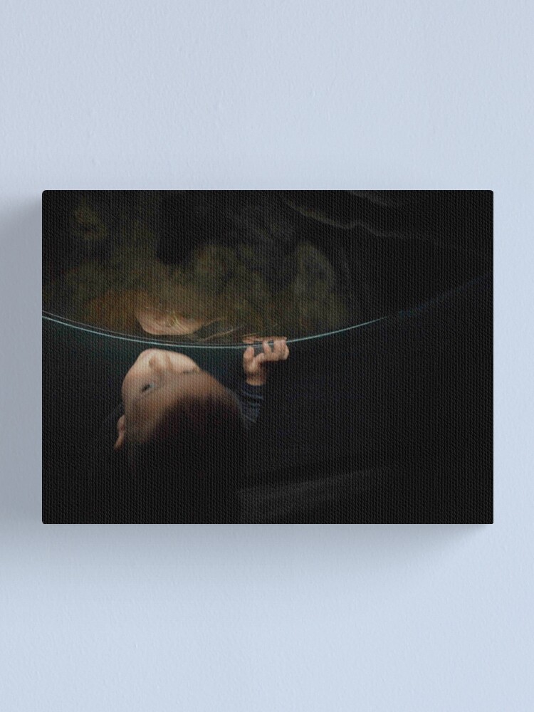 Alternate view of Face of Discovery Canvas Print