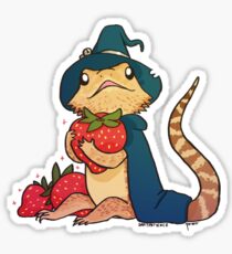 Dragon barbu - Grunt Sticker