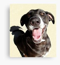 Dork Canvas Print