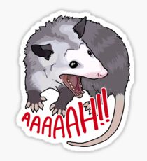 Possum scream at own ass Sticker