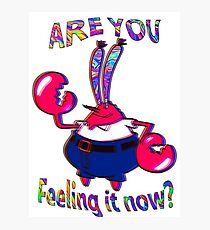 mr krabs Photographic Print