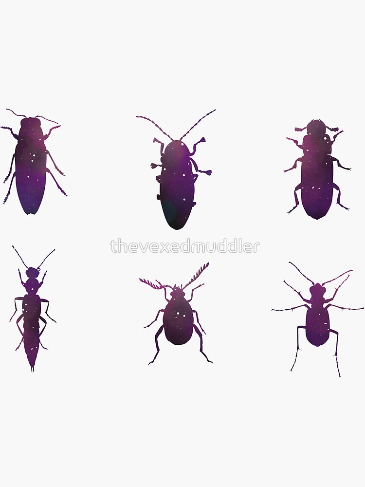 Galaxy Beetle Stickers by thevexedmuddler