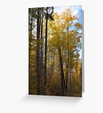 Mellow Yellow Greeting Card