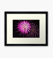 Pink Fire Flowers Framed Print