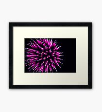 Purple Porcupine Framed Print