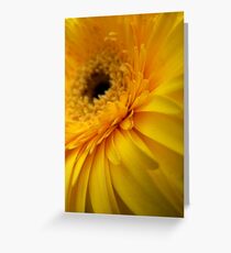 Yellow Gerbera Greeting Card