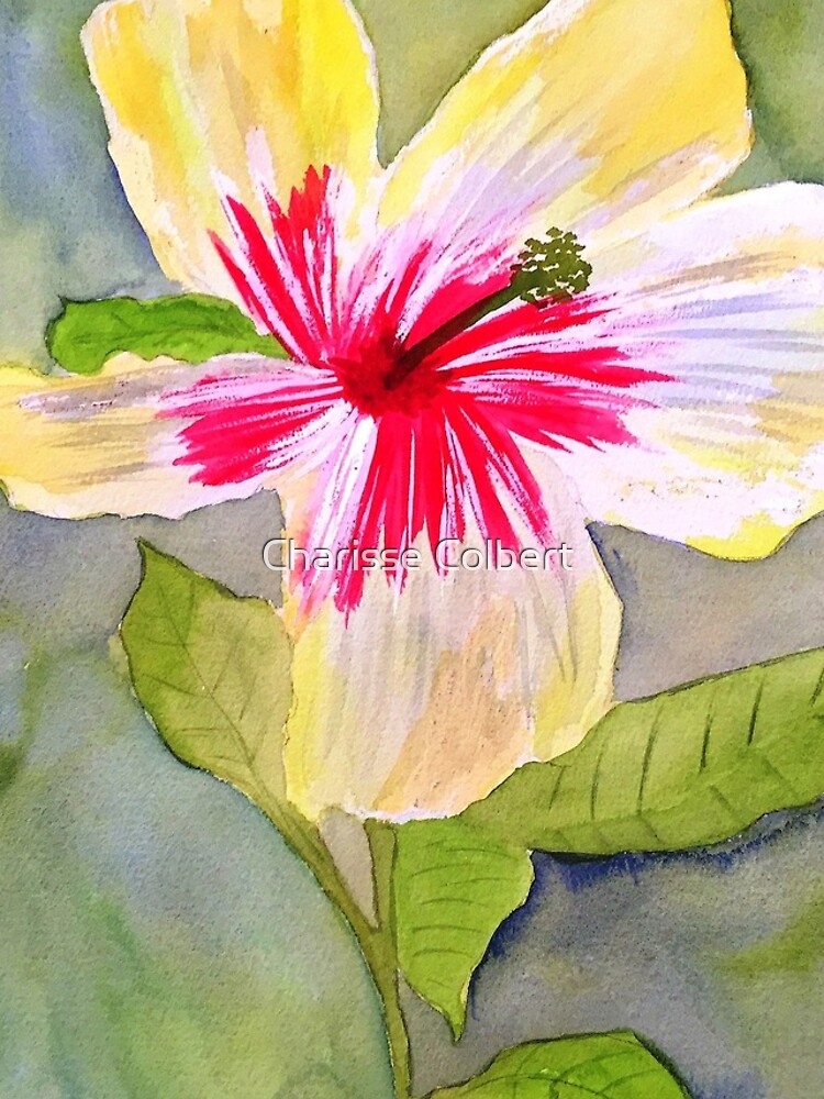 Hibiscus by charissecolbert