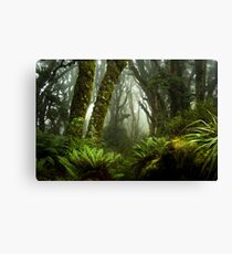 Routeburn magic Canvas Print