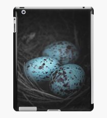 Vinilo o funda para iPad Nido de 3