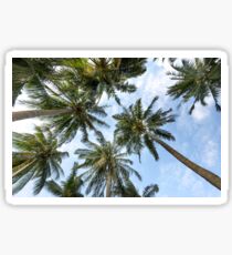 Palm tree coast Sticker