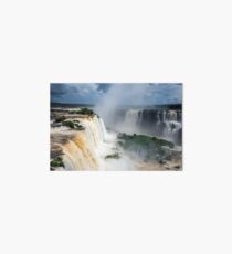 iguazu falls Art Board