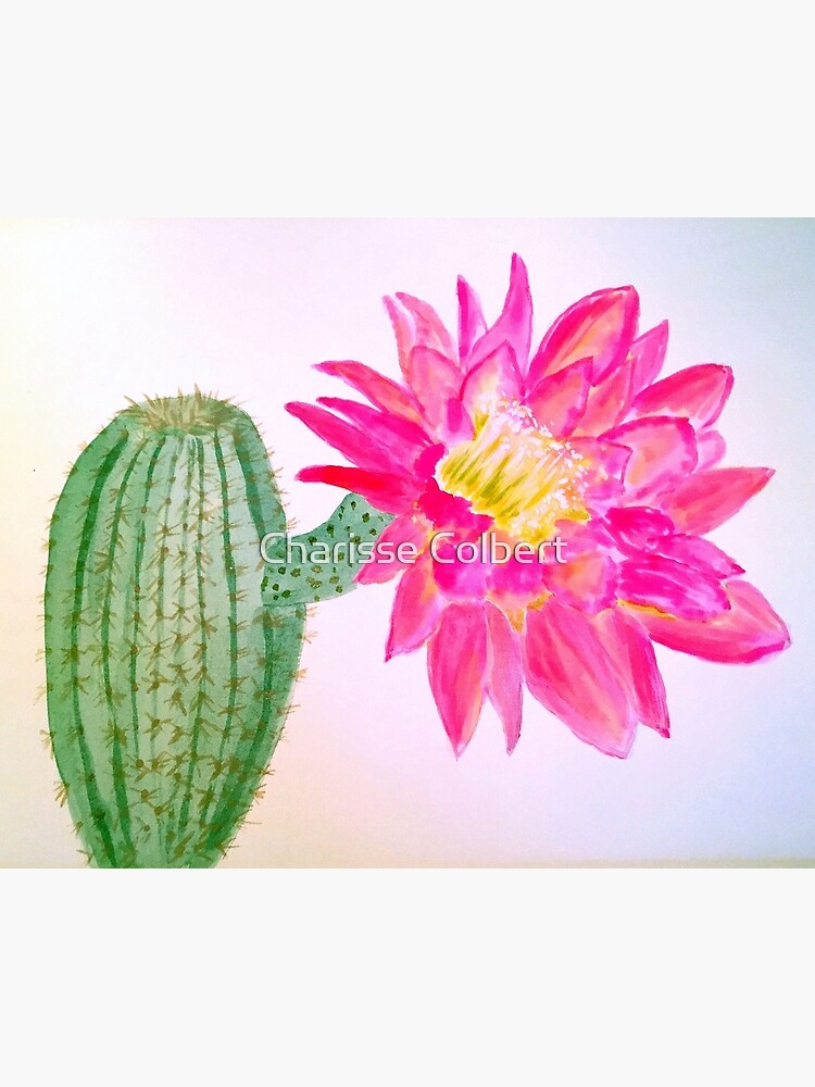 Cactus Bloom by charissecolbert