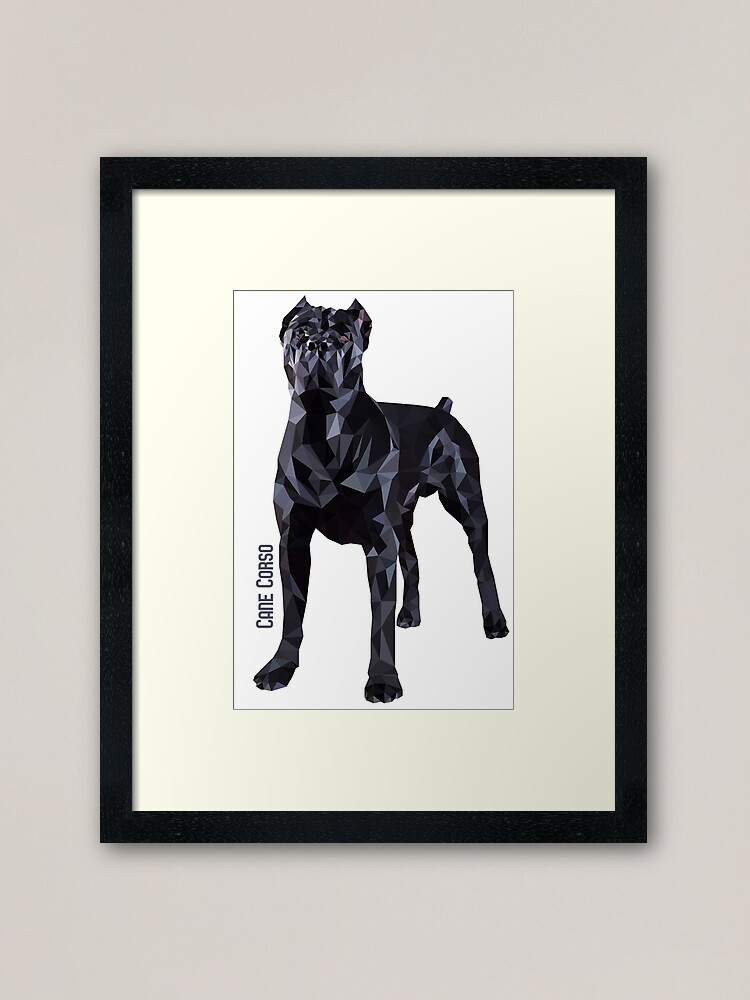 Cane Corso Italian Mastiff Dog Canvas Print