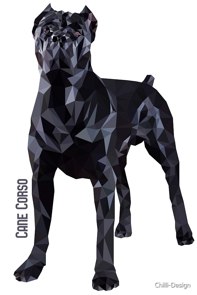Cane Corso Italian Mastiff By Chilli Design Redbubble