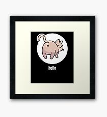 Funny Rescue Kitten / New Pet Cat Framed Print