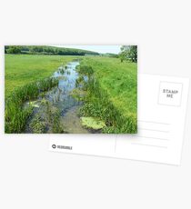 WEEDY Postcards