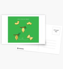 Life cycle of pasta Postcards