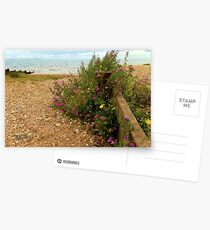 Whitstable Beach Postcards