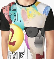2 Year Old Llama Birthday Gift Graphic T-Shirt