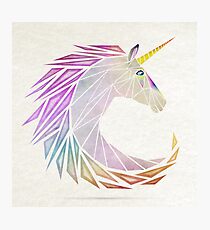 unicorn cercle Photographic Print