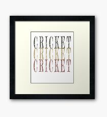 Retro Cricket design Framed Print