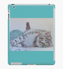 Cute Tabby Cat Playing Softly With Wool Pencil Drawing iPad Case/Skin