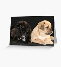 pugalier pups... Greeting Card