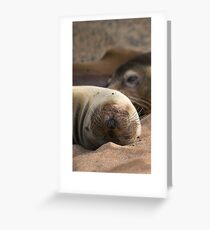 Resting Greeting Card