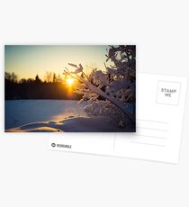 Winter wonderland Postcards
