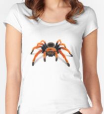 Mexican Beauty Tarantula Spider Women's Fitted Scoop T-Shirt