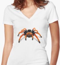 Mexican Beauty Tarantula Spider Women's Fitted V-Neck T-Shirt