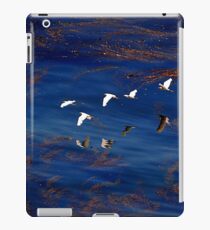 Sea Birds iPad Case/Skin