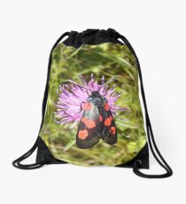 Burnet Moth Drawstring Bag