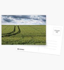 J Wheat Field Postcards