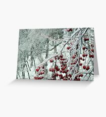 Frozen I Greeting Card