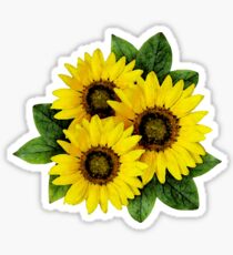 Gemalter Sonnenblume-Blumenstrauß Sticker