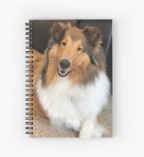 Beautiful Rough Collie Spiral Notebook