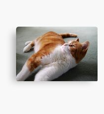 Playful Nature Canvas Print