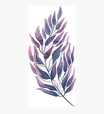 watercolor branch Photographic Print