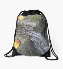 Sidecut Metropark Canal Lock Erosion Drawstring Bag