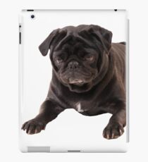 Funny Sleeping Black Pug iPad Case/Skin
