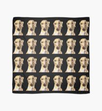 GREYHOUND LOVE g215 Scarf