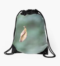 Sidecut Metropark Leaf Attached to a Spider Web Drawstring Bag