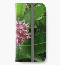 Milkweed Flowering Plant iPhone Wallet/Case/Skin