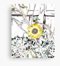 Maison Canvas Print