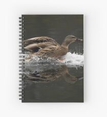 Clear for Landing Spiral Notebook