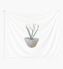 Euphorbia Tirucalli Wandbehang