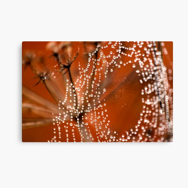 String of Peals Canvas Print