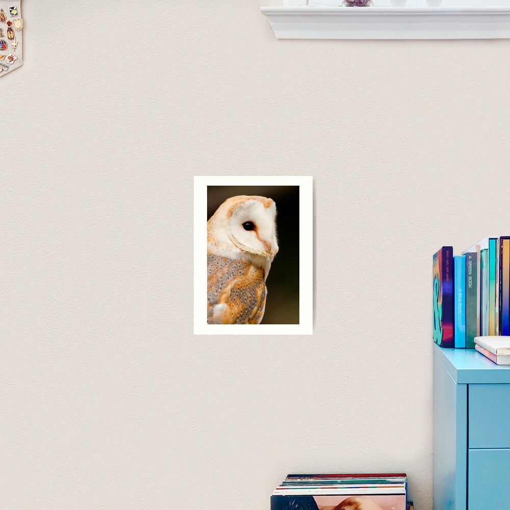 Barn Owl Art Print