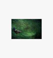 Peacock Wood Art Board
